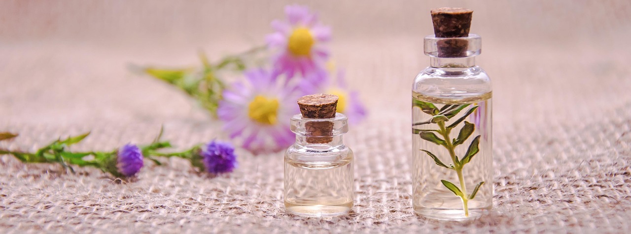A Short History of the Mandarin: From Chinese Orchards to Modern Perfumery