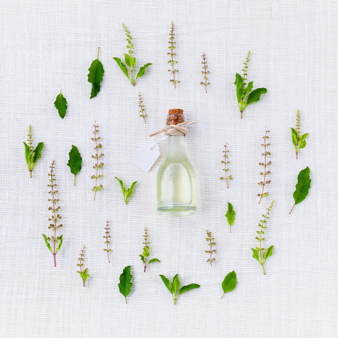 Where to Buy Mandarin Essential Oil: Smart Shopping Online and Locally